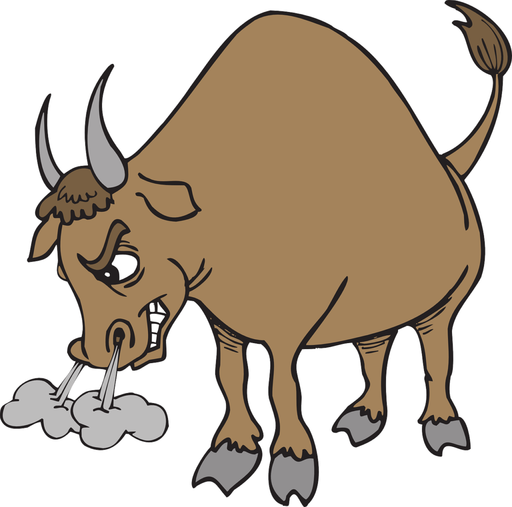 angry, nature, bull-46375.jpg